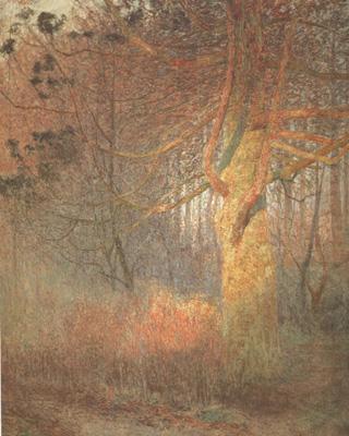 Emile Claus Tree in the Sun (nn02) china oil painting image